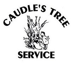 Caudle's Tree Service